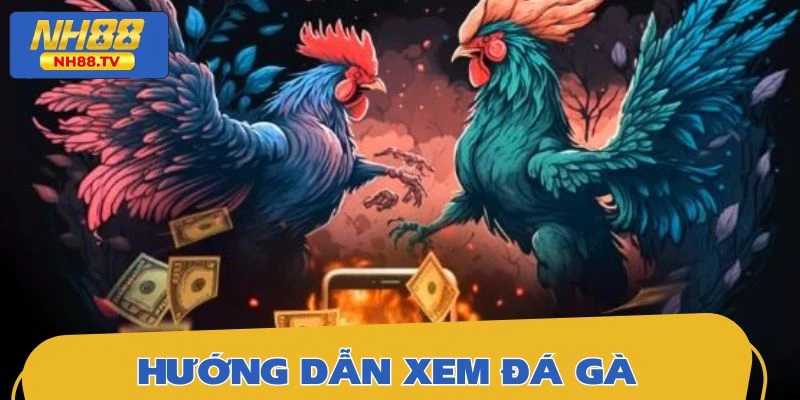 Quy trình để đón xem các trận đấu gà kịch liệt và đặt cược dễ dàng