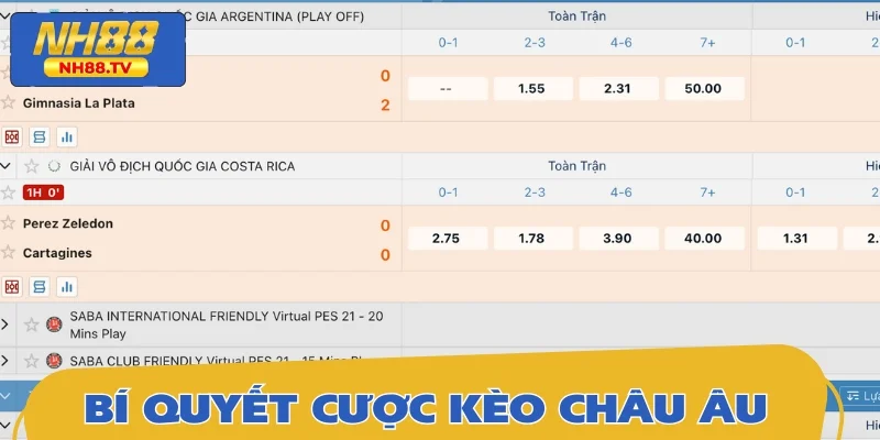 Bỏ túi tuyệt chiêu soi kèo cực hay và hiệu quả