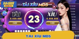 Tài Xỉu MD5 Có Gì Hot Mà Ai Cũng Thích Chơi Mỗi Ngày