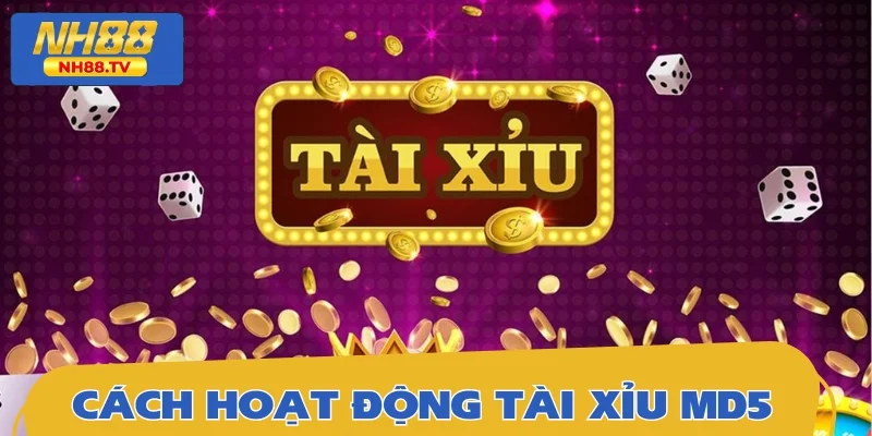 Nguyên tắc hoạt động trong thực tế của Tài Xỉu MD5